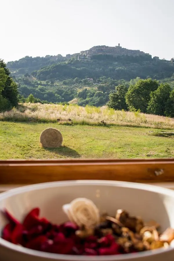 Il Sasso di San Galgano Villa Chiusdino Italia
